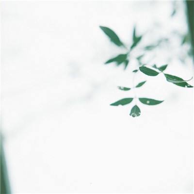 果盘趣炫莽荒纪手游下载